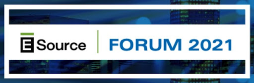 E Source Forum 2021 logo